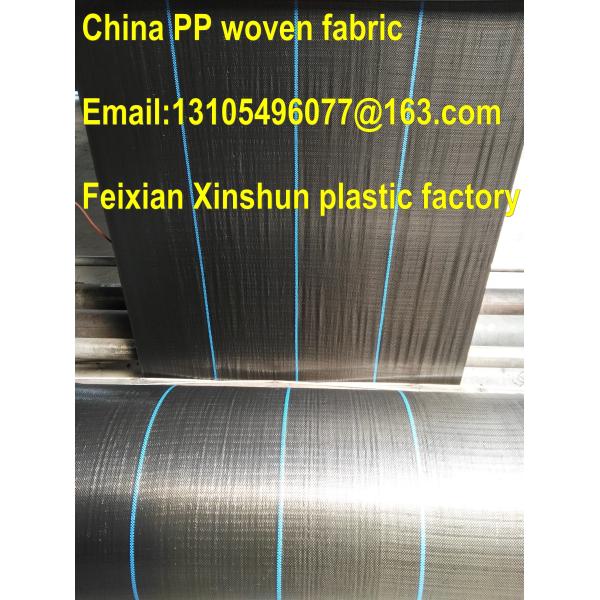 PP weed control mat factory/woven geotextile/silt fence/ground cover factory