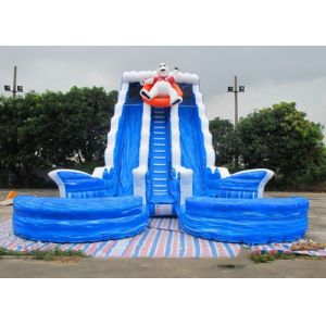 Backyard Dry and Wet Slides With Silk - Screen Printing / Inflatable Pool Slide