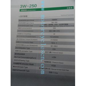 168MM 3W-250CC Single cylinder Steaming water cool Three Wheels Motorcycles