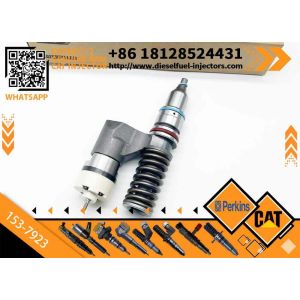 Carter C12 3176b Construction Machinery Engine Injector Assembly 153-7923 0r