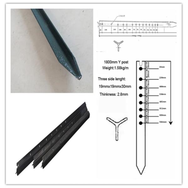 Galvanized Steel Metal Fence Posts Star Picket / Studded T Post