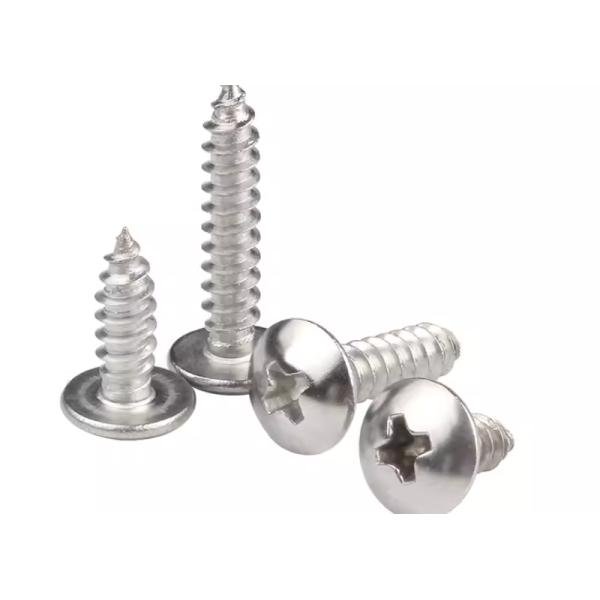 Top Quality Stainless Steel SS304 SS316 Phillips Pan Head Tapping Screw DIN7981