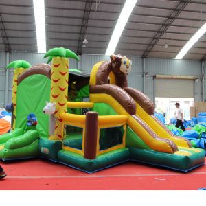 5-7 Years Age Range Inflatable Bouncy Castle Combo with Customized Color Outdoor