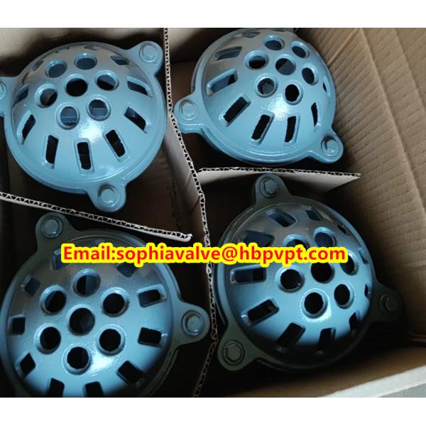 female thread foot valve material GG20