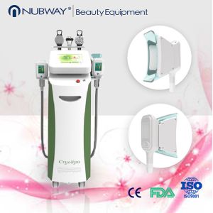 Wholesale 2015 New multifunction cryolipolysis machine cavitation rf vacuum slimming machine from china suppliers