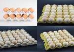 3000pcs/h Recycled Paper Egg Box Making Machine Rotary Type High Speed