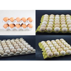 Processing Type Egg Tray Machine , Paper Pulp Molding Machine With Drying System