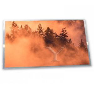 Wholesale Custom ODM 15.0-Inch AA150XN07 WLED WLED LCD Display Module with 1024*768 Resolution for New from china suppliers