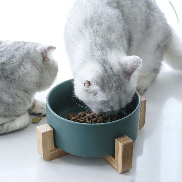 Rounded Marble Ceramic Pet Bowl With Elevated Stand Japan Style Printed