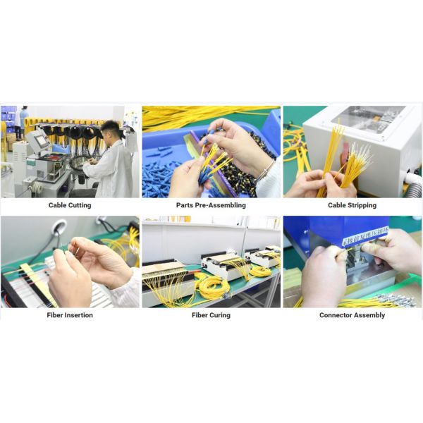 OM4 MPO Trunk Patch Cord High Density Fiber Trunk Assembly for Data Center