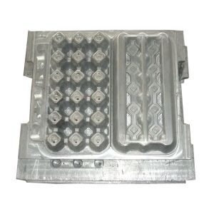 The latest technics for egg tray mould