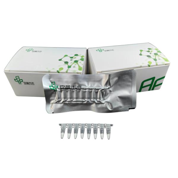 High Sensitivity RNA Amplification Kit Lyophilized Diagnostic Test Kit