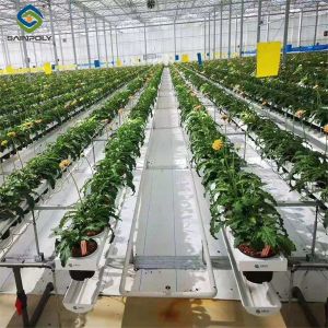 New Products Ultraviolet-Proof Farming Venlo stype greenhouse with hydroponics