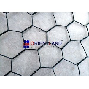 Erosion Control Galvanized Gabion Wall Baskets PVC Coated Gabion Box