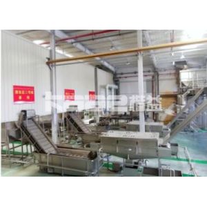Fully Automatic Garlic Processing Line Slicer Powder Drying Processing Line