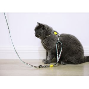 Travel Small Cat Harness And Leash Kitten Lead And Harness