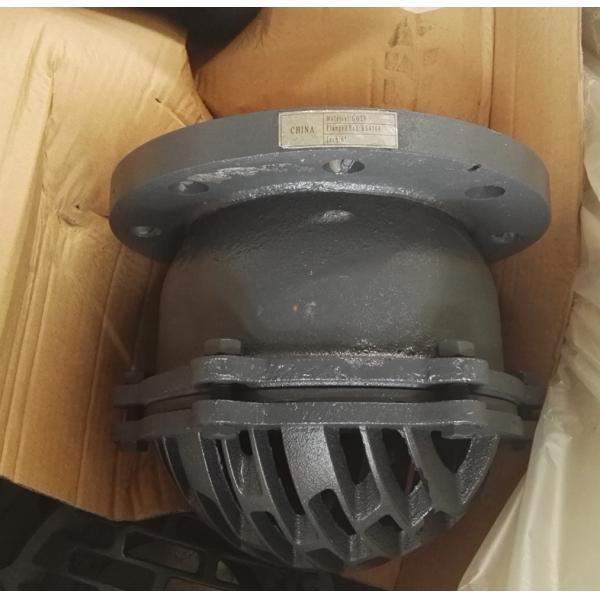 flanged foot valve BS4504 flange standard made in China