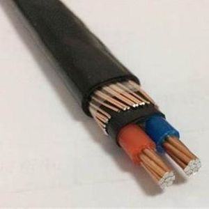 Concentric Design 10mm2 PVC Insulated Electrical Wires AA Cables with Neutral