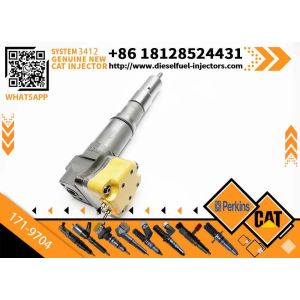 For CAT Excavator 3412E 171-9704 Common Rail diesel Fuel Injector 171-9704