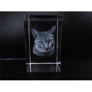 532 nm Automatic Laser Marking Machine Engraving Speed 2000Dots / Second