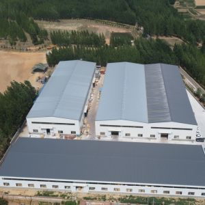 Prefab Steel Structure Workshop with H-Section Beams and Sandwich Panels