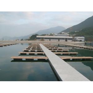 WPC Construction with Hardwood Flooring and Soild Board