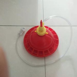 38cm Plasson Automatic Broiler Drinker And Feeder For Poultry