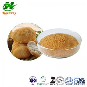 China Hericium Erinaceus Extract Lion′s Mane Mushroom Extract 10%-50% Polysaccharides on sale