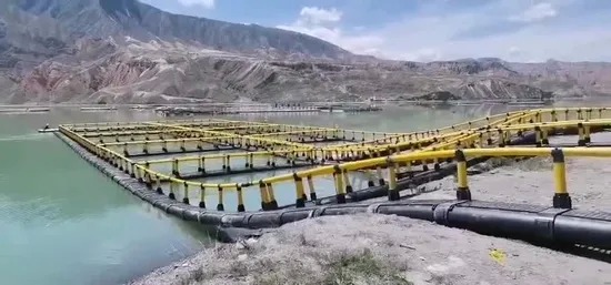 Commercial HDPE Floating Aquaculture Fish Cage with High Extensity and