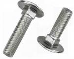 5/16 " - 18 X 2 " Stainless Steel Screws , Square Neck 316 Stainless Steel