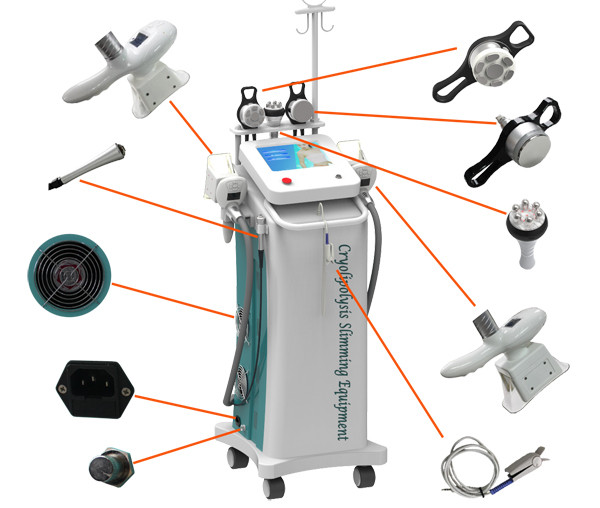 cryolipolysis slimming machine with 5 handles for salon use