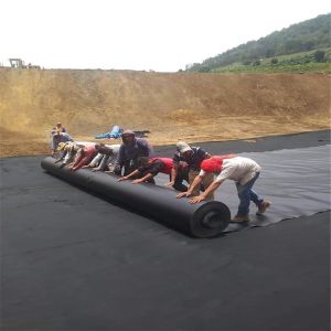 China Customized Width 0.75mm HDPE Geomembrane Film Fish Pond Liner for Shrimp Farming on sale