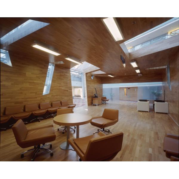 600×600 led panel light supply / led light panel manufacturers