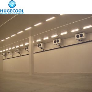 Logistics Cold Storage For Fruit And Vegetable Storage 1400 Tons Large Cold