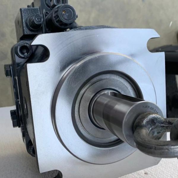 R902075731 A11VLO190DRG/11R-NZD12K17 R902195635 A11VLO190DRGX/11L-NPD12N00-S