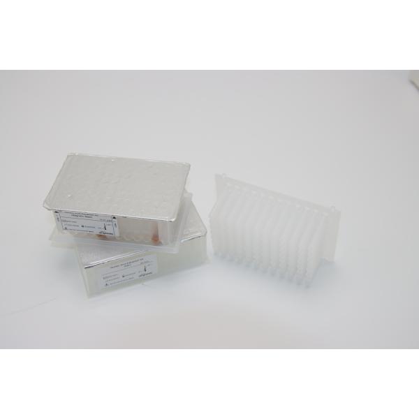 Lab IVD Viral Nucleic Acid Extraction Kit 9-18 Minutes ISO9001 For DNA RNA