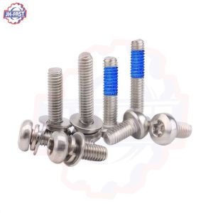 Black Torx Head Star Security Self Tapping Drilling Screw with Anti-Theft