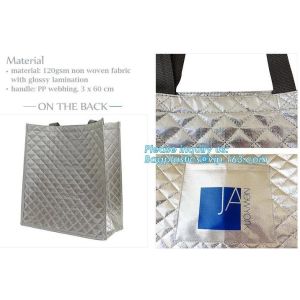 Large folding keeping cool cooler bag lunch bag for food fruit seafood steak