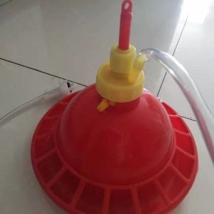 38cm Plasson Automatic Broiler Drinker And Feeder For Poultry