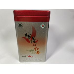 Metallic Packaging Tin Box Glossy Printed Tin Containers