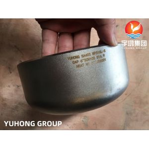 ASTM A403 WP316L 1.4404 End Cap Stainless Steel Buttweld Fitting