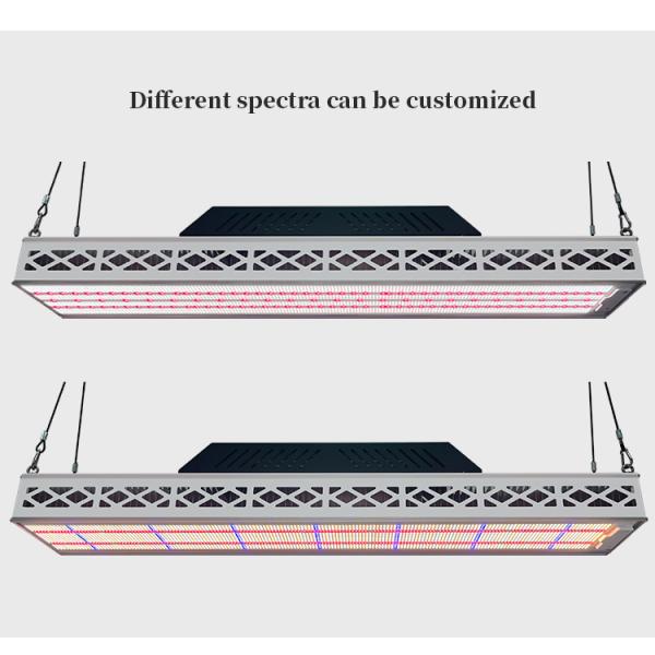 640W Top LED Grow Lights Full Spectrum Plant Growth Lamp For Greenhouse Seedling Flowering