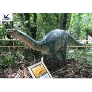 CE , RoHS Coin Operated Giant Dinosaur Model Exhibition For Dinosaur Park