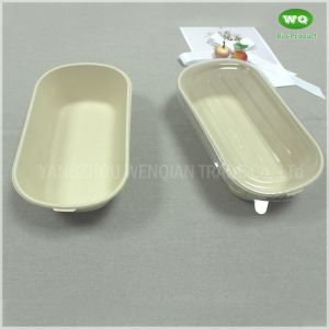 Eco-Friendly Sugarcane Pulp 850ml Package Box With Lid -100% Biodegradable