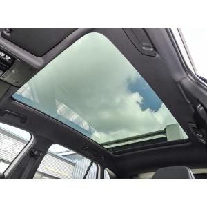 Volkswagen ID.4 X Pure Electric 2024 Pure Long-Range Edition