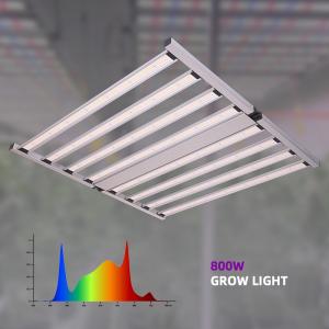 China ANDY Full Spectrum LED Plant Grow Light 4x4ft 800W SAMSUNG LM301h EVO LM281b Led Grow Light for Veg Fruit Flower on sale