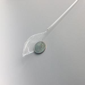 Endoscopic Disposable loop net for foreign body retrieval