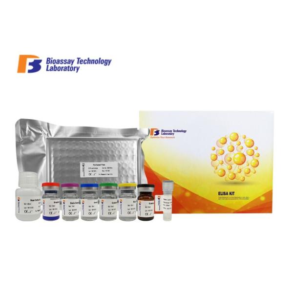 Rat BFGF Sandwich ELISA Kit Basic Fibroblast Growth Factor ELISA Kit With 2
