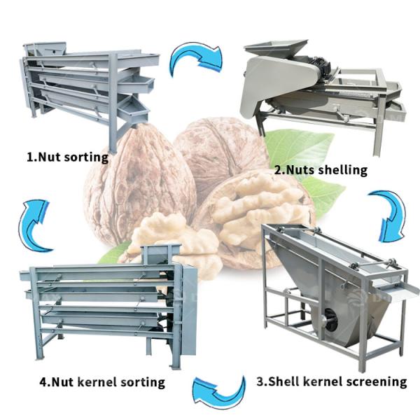 Producing Palm Kernel Cracking Machine with Almond Shell Kernel Separation Function