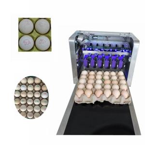 High Resolution Food Inkjet Printer , Eggs Expiry Date Printing Machine